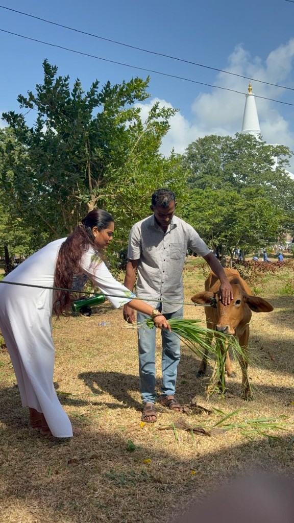 Ceremonial Dairy Cow Donation