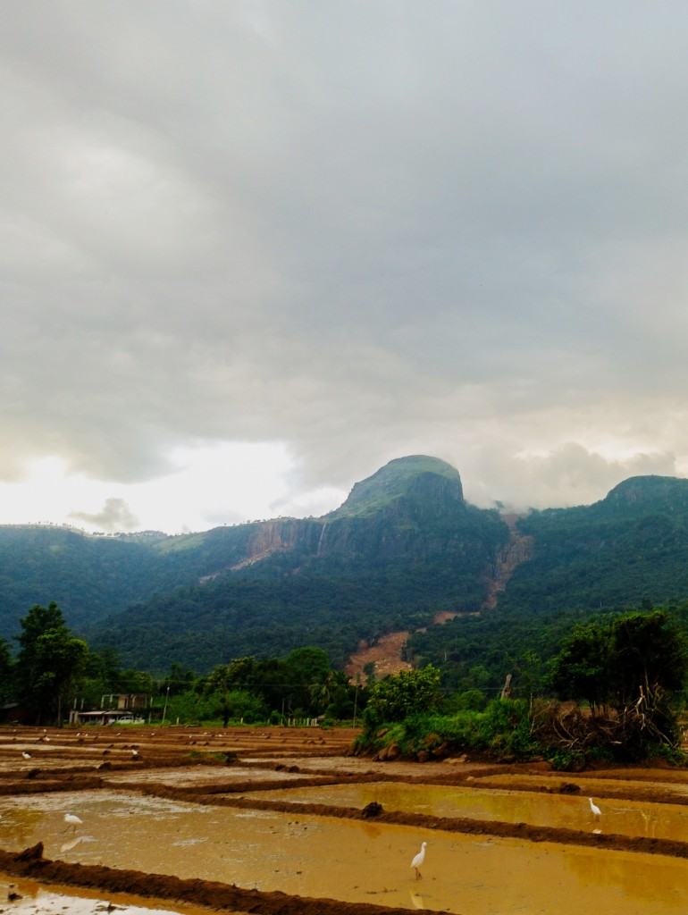 Sahanayathra Project