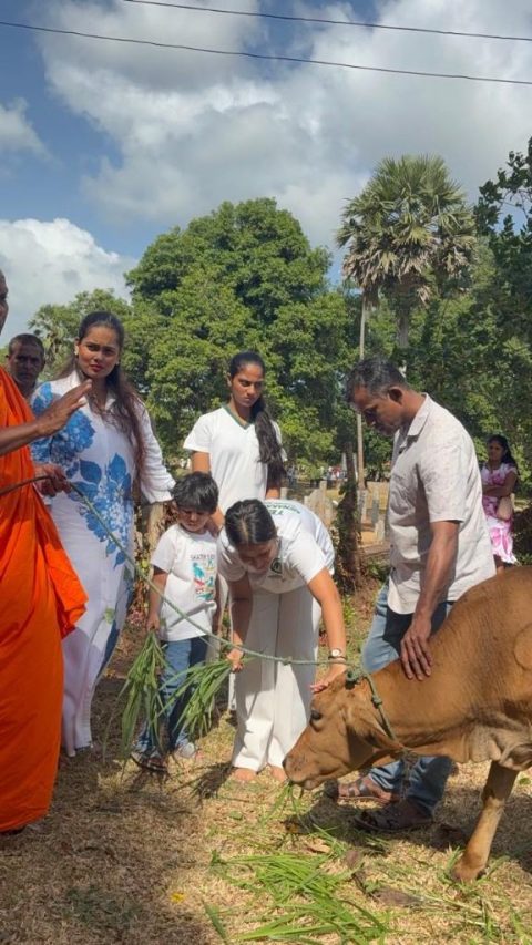 Ceremonial Dairy Cow Donation